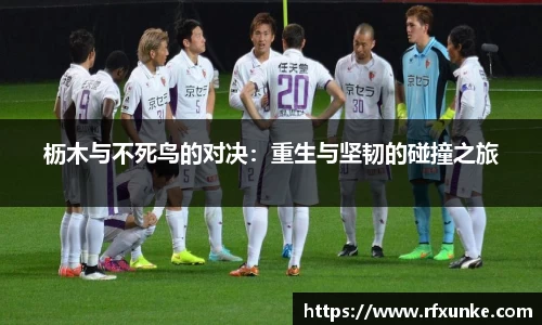 三亿体育官网