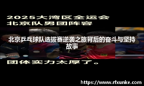 三亿体育APP